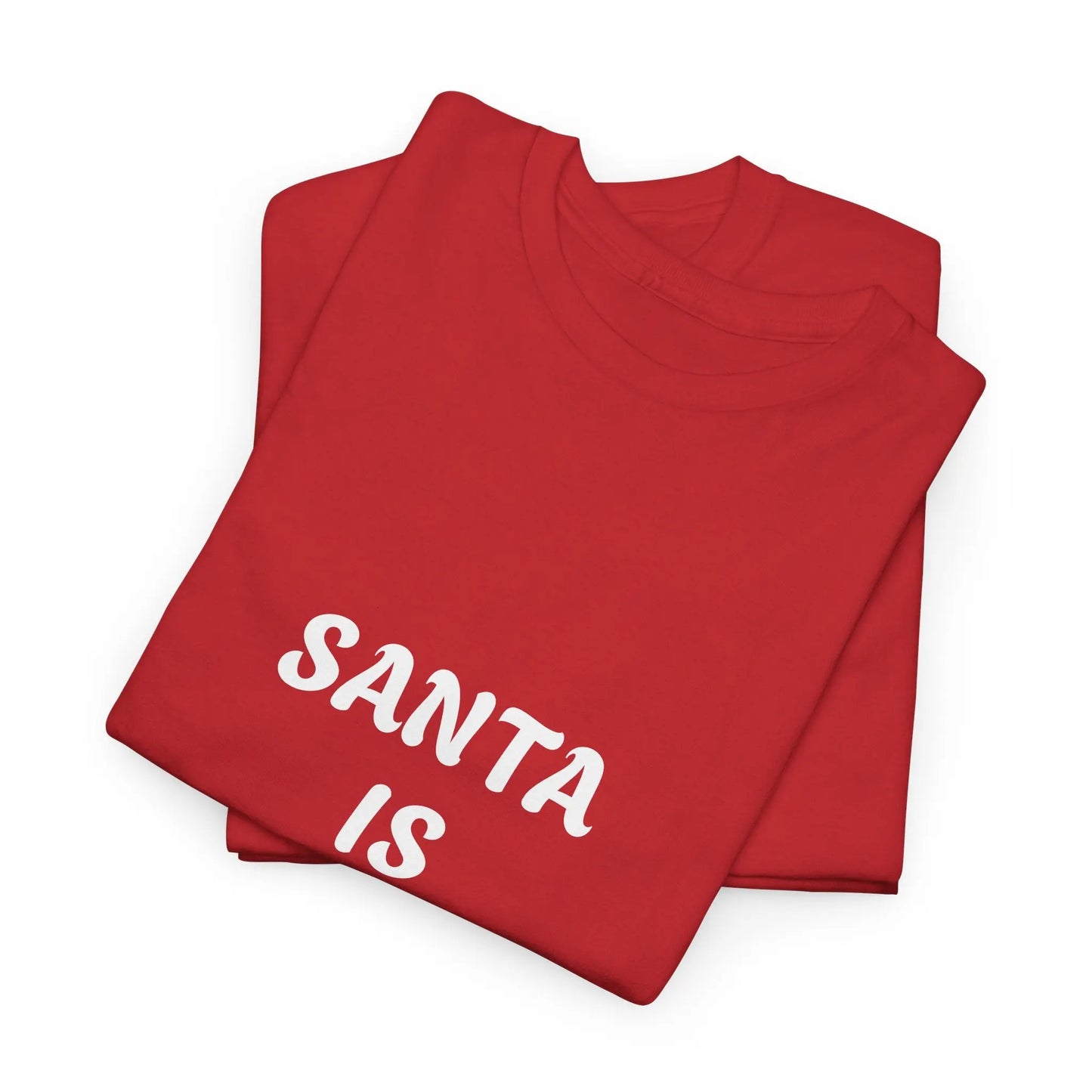 Santa Is A Pedophile - Heavy Cotton Tee - Gilden 5000 Printify